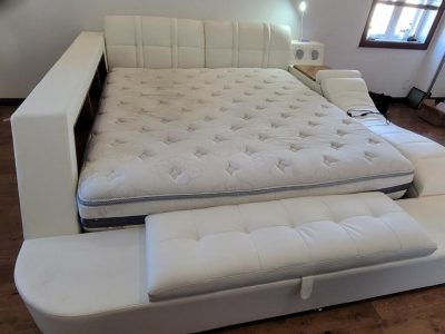 Special Order Tesla White Bed