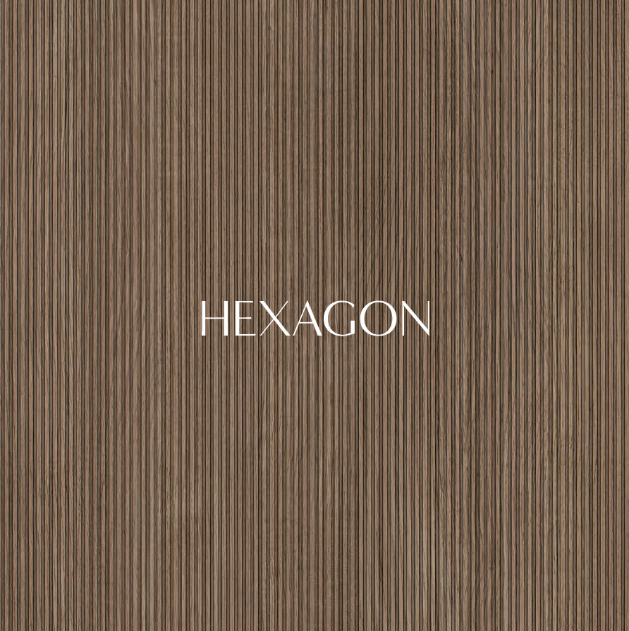 Status Hexagon Day
