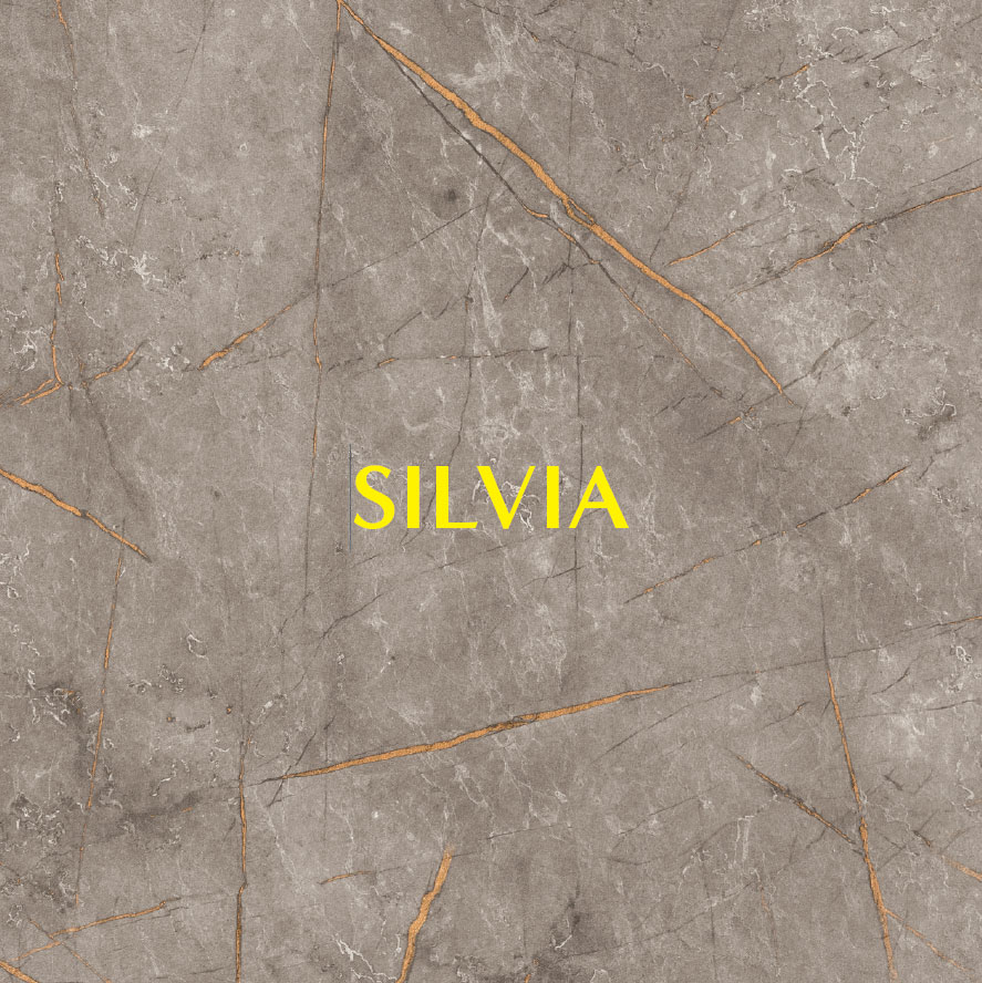 Status Silvia Night