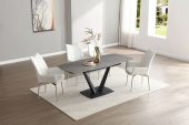 109 Grey Table with 1218 Chairs
